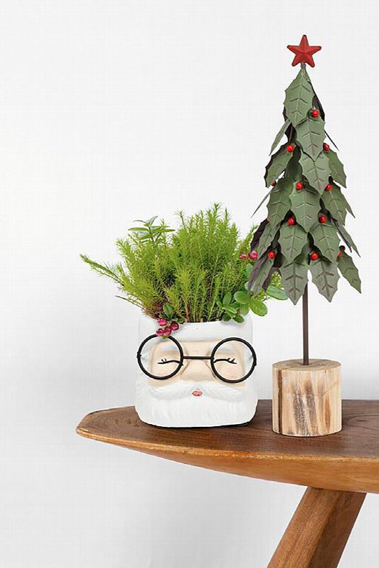 Kris Kringle Planter Large